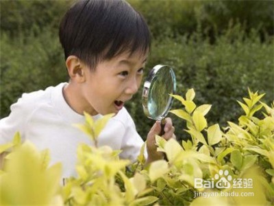 怎样提高孩子的写作水平