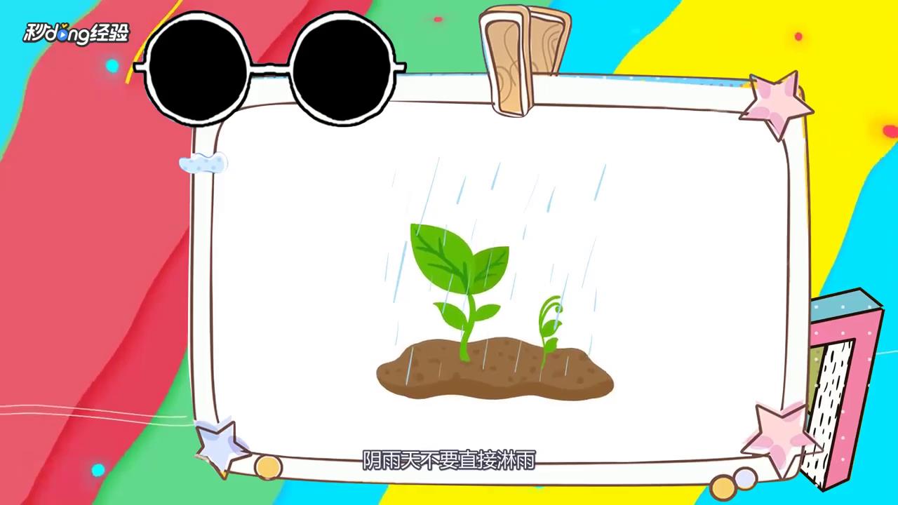 薄荷枯萎怎么救活？