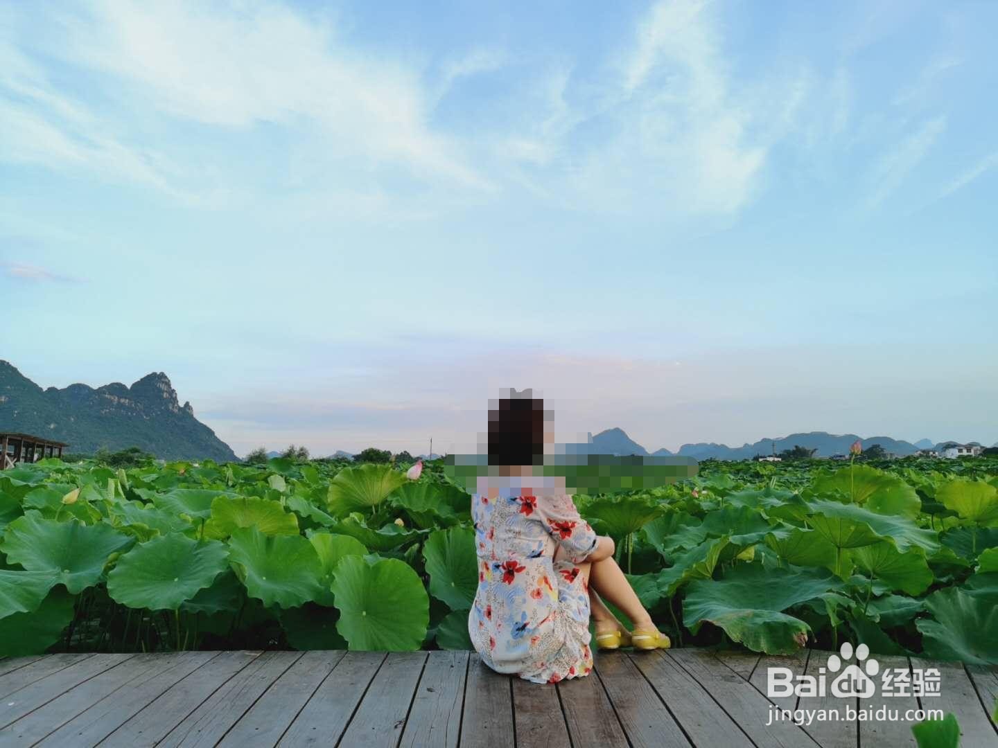 如何去参观荷花池