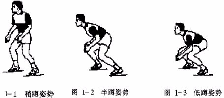 排球运动的要点与动作要领
