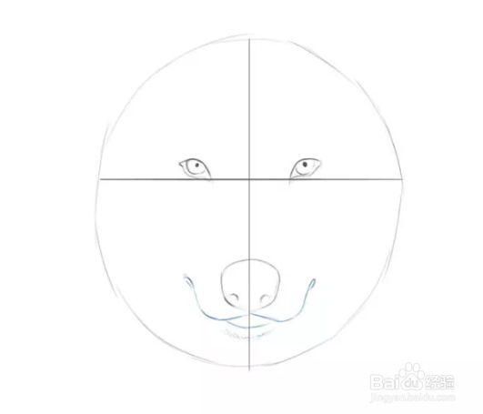 如何画狼的面部