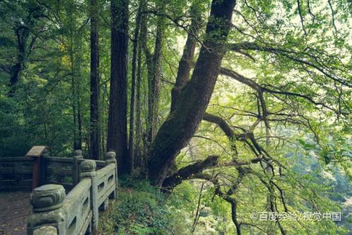 第一,天目山風景名勝區