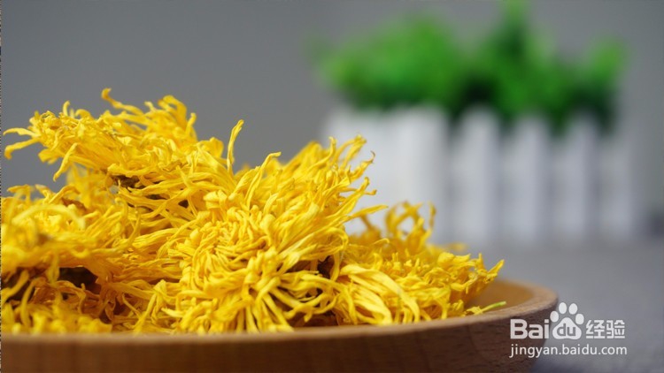 金丝皇菊的作用