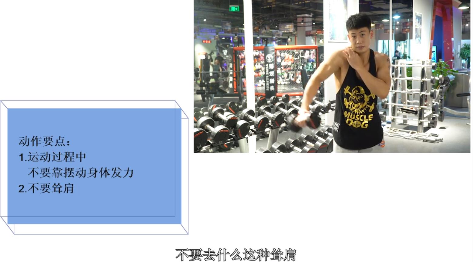 如何进行三角肌训练?