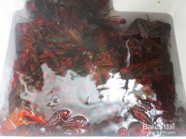 麻辣小龙虾做法