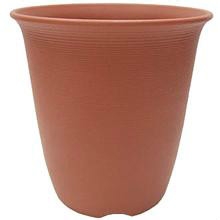 如何栽培好菊花