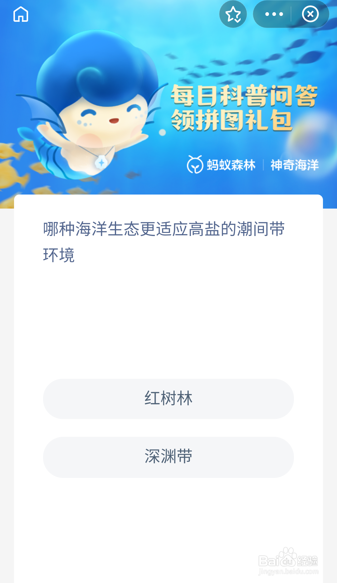 红树林深渊带哪种海洋生态更适应高盐的潮间环境