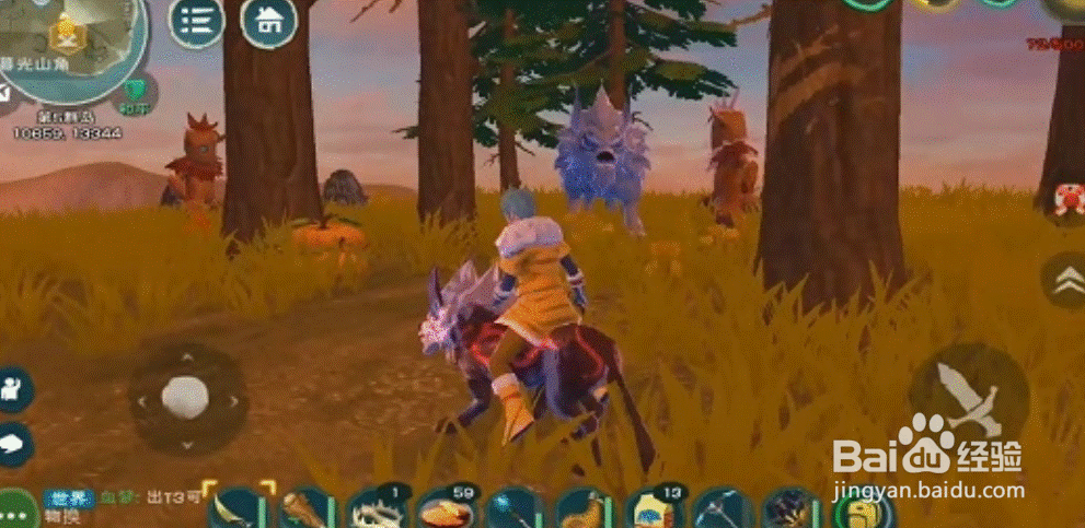 创造与魔法雪狼王位置在哪里