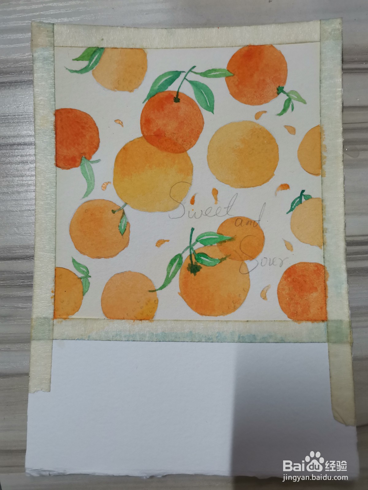 橘子水彩插画上色教程