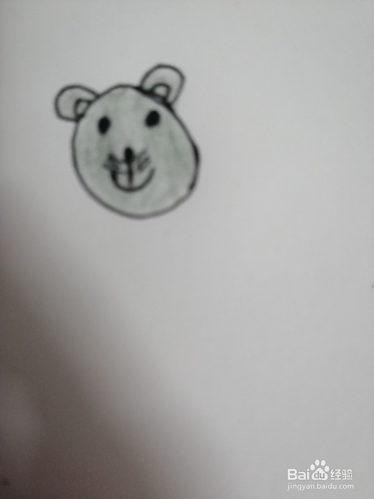 如何用圆画出可爱的小猫咪呢？