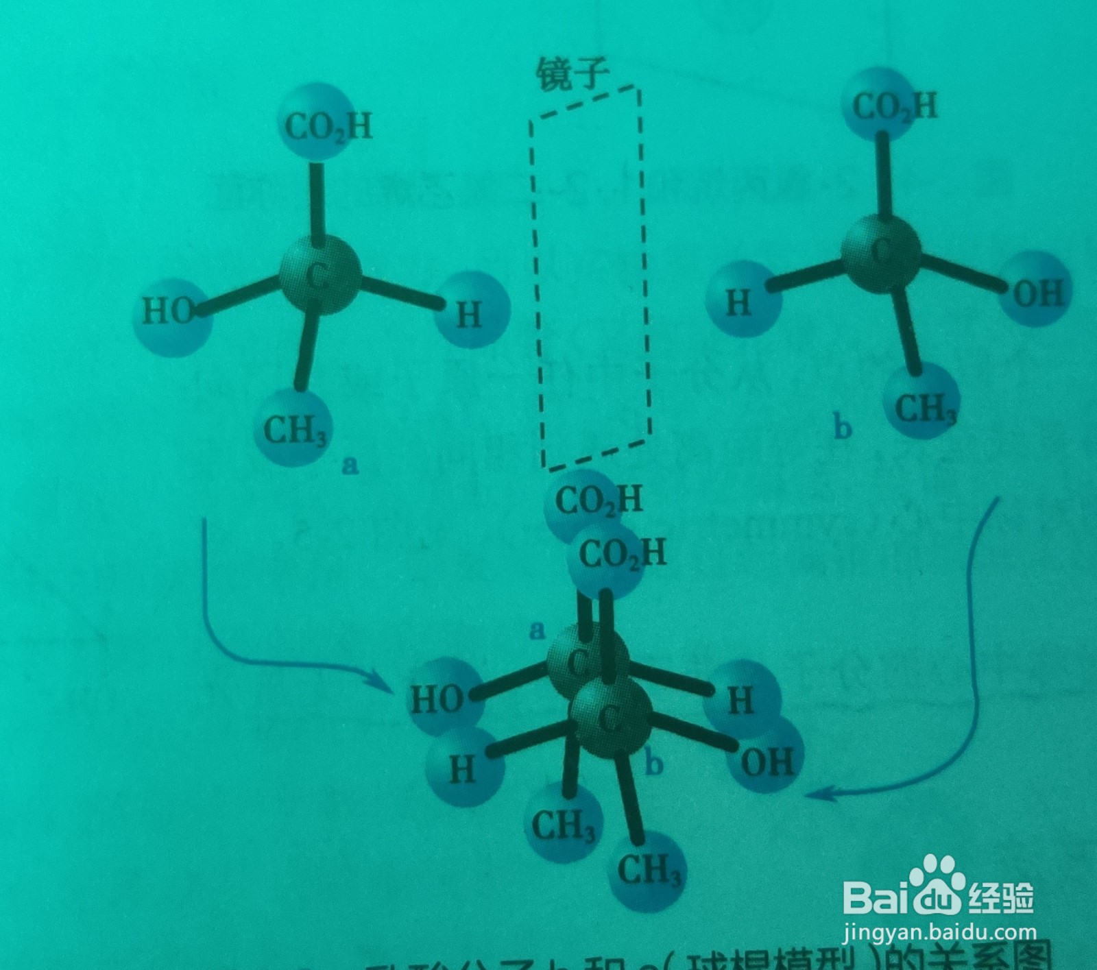 手性碳原子判断方法图图片