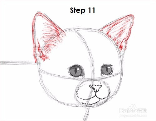 如何画一只小猫——加菲的吃货生活