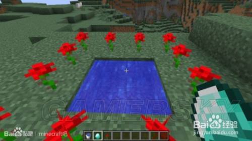 我的世界暮色森林攻略 百度经验