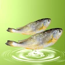 注意这些细节 与肥肉君说拜拜