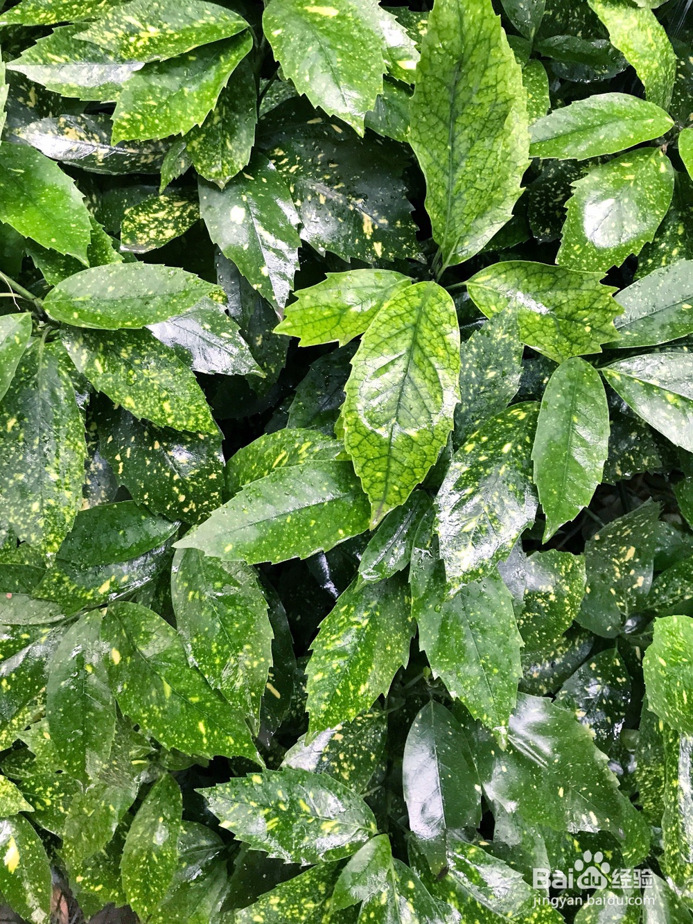 怎么拍摄一张属于自己的屏保