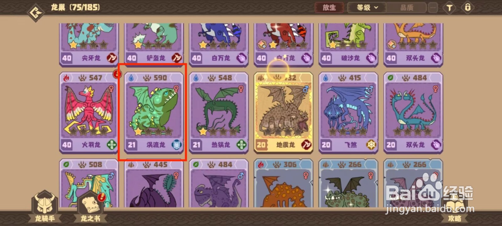 驯龙高手旅程涡流龙如何穿戴装备？