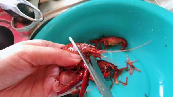 香辣十三香小龙虾