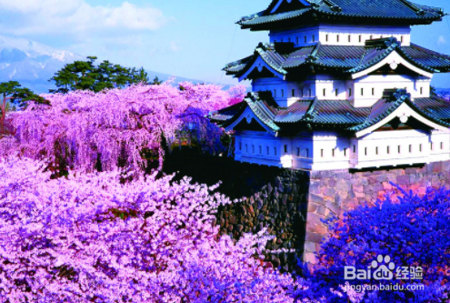 春天适合和朋友出去旅游的地方!