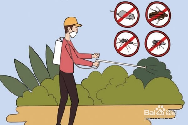 怎么治老鼠又快又撤底