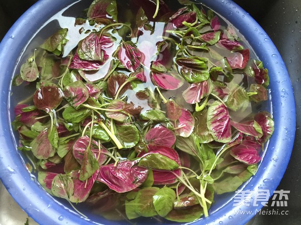 蒜蓉苋菜的做法