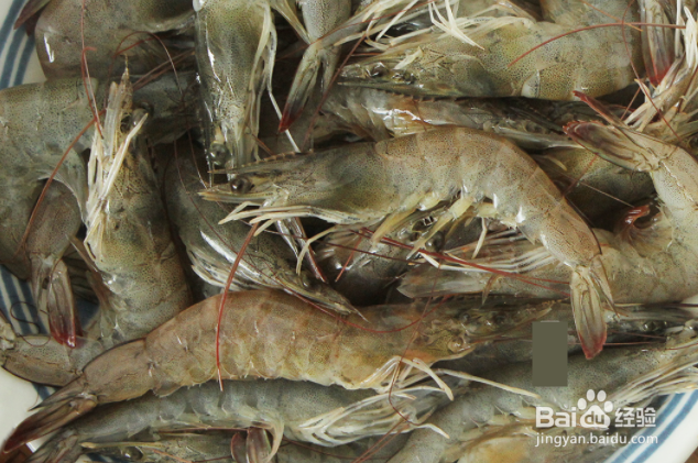 买虾的时候该怎么挑选
