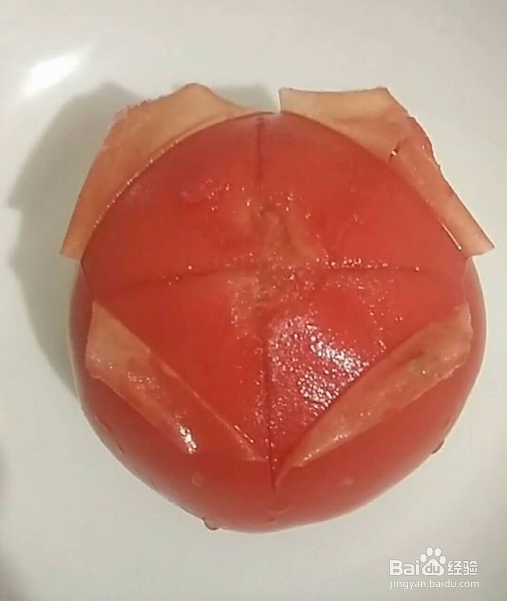 番茄小零食教程