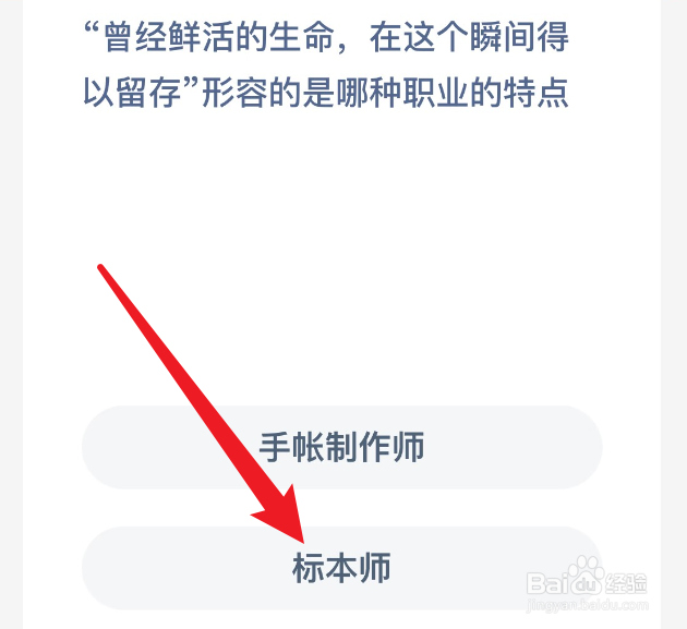 蚂蚁新村曾经鲜活的生命,在这个瞬间得以留存