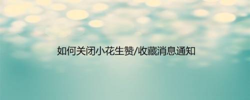 如何关闭小花生赞/收藏消息通知