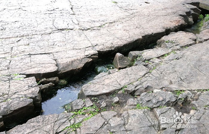 如何游玩苏州的虎丘山剑池
