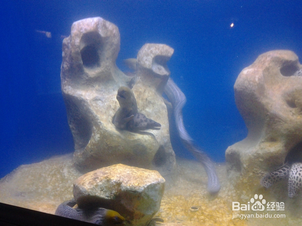 北海银滩自助游