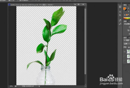 ps实用小技巧：快速抠出植物