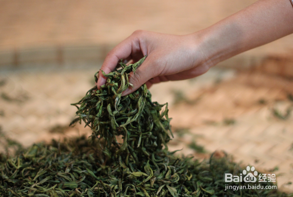 普克菊花普洱茶的养生功效及冲泡方法