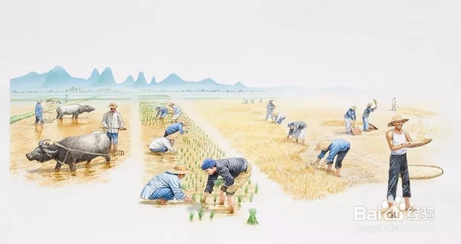 如何理解未来形势的转变