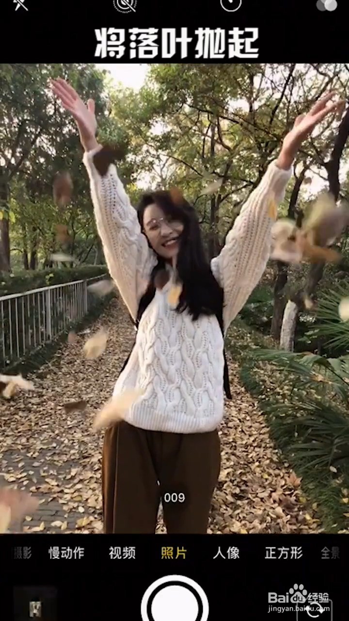 秋天落叶拍照技巧
