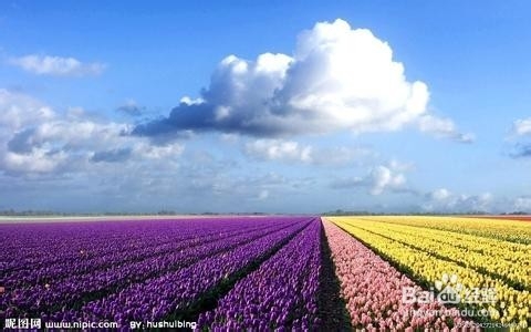 如何成为一个出色的游戏领导者