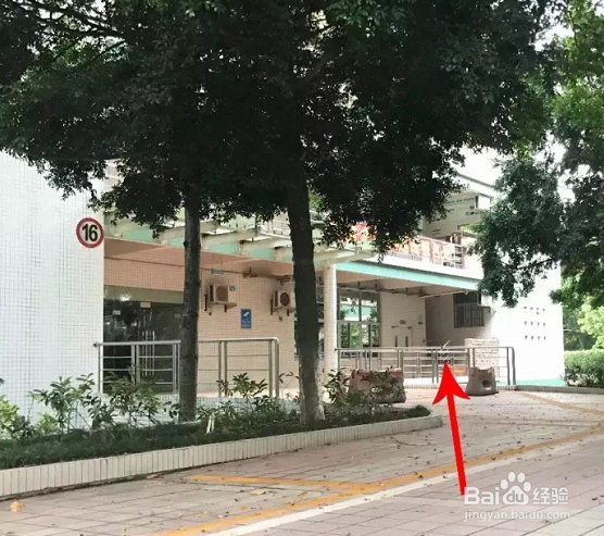 广药职校内十六栋实训楼路线#入学准备攻略#