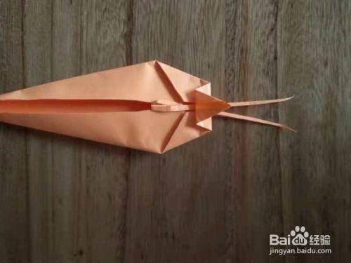 虾用折纸怎么折