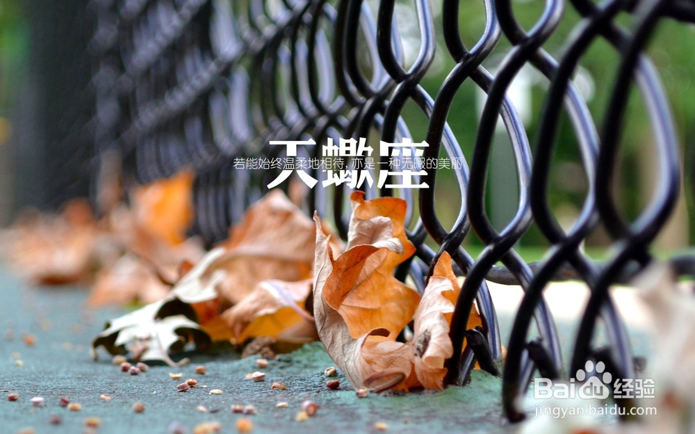 我就是这样的天蝎，爱我你怕了吗