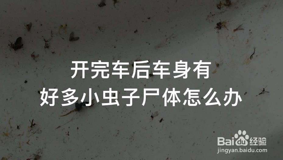 <b>开完车后车身有好多小虫子尸体怎么办</b>