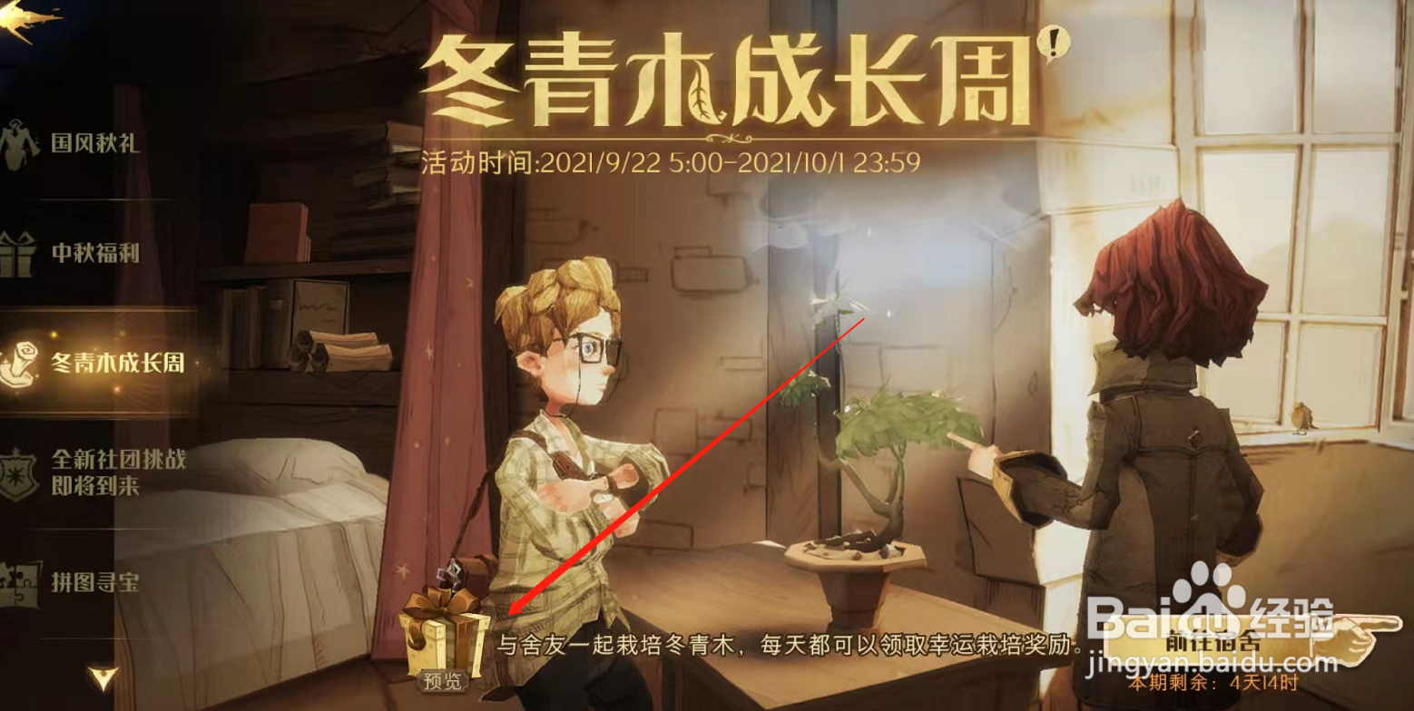 哈利波特魔法觉醒冬青木成长活动有什么奖励
