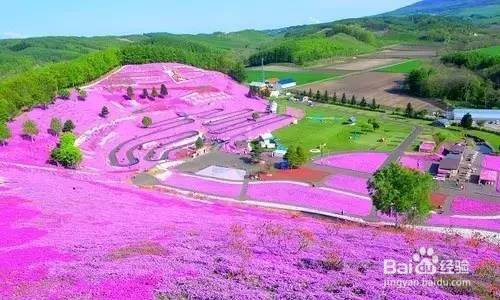 用对日本护肤品让你在北海道的夏天美如花！