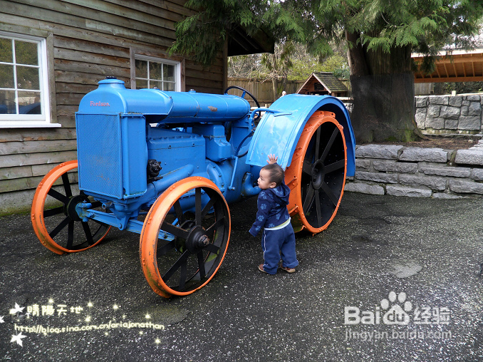 拾海的孩子&亲亲小动物(组图)