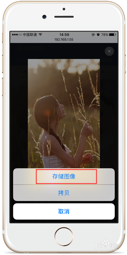 iphone6如何下载设置壁纸？