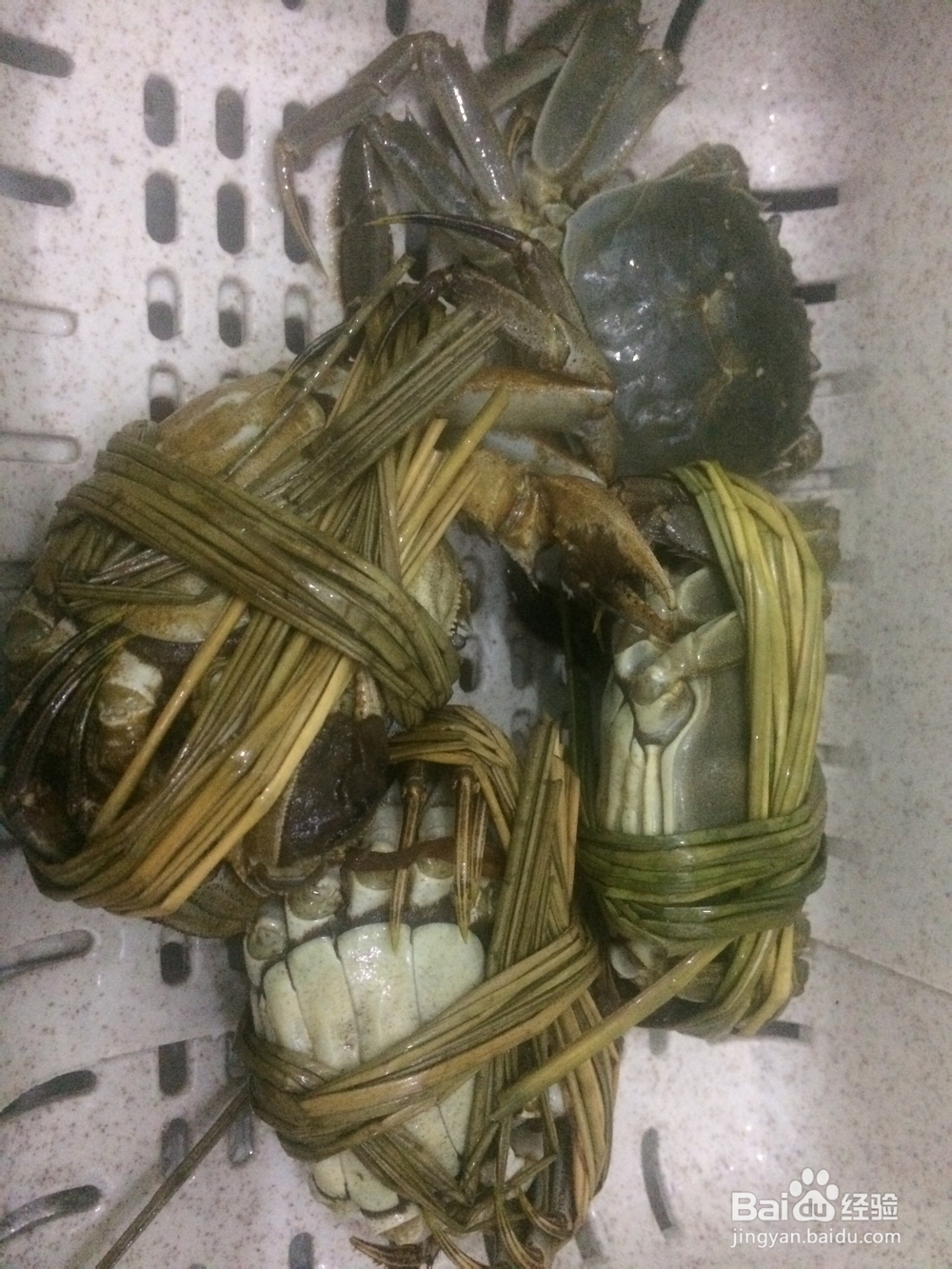 馋哭朋友的清蒸大闸蟹