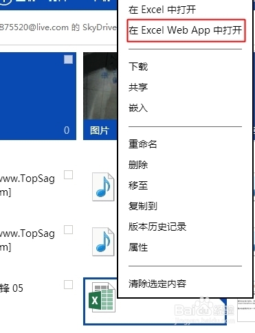 在网页上直接编辑文档：[1]skydrive