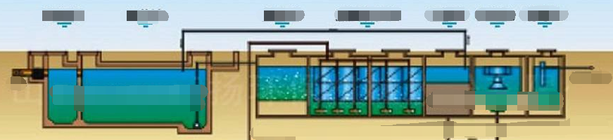 如何利用天利固液分离机TL-200对畜禽粪便处理