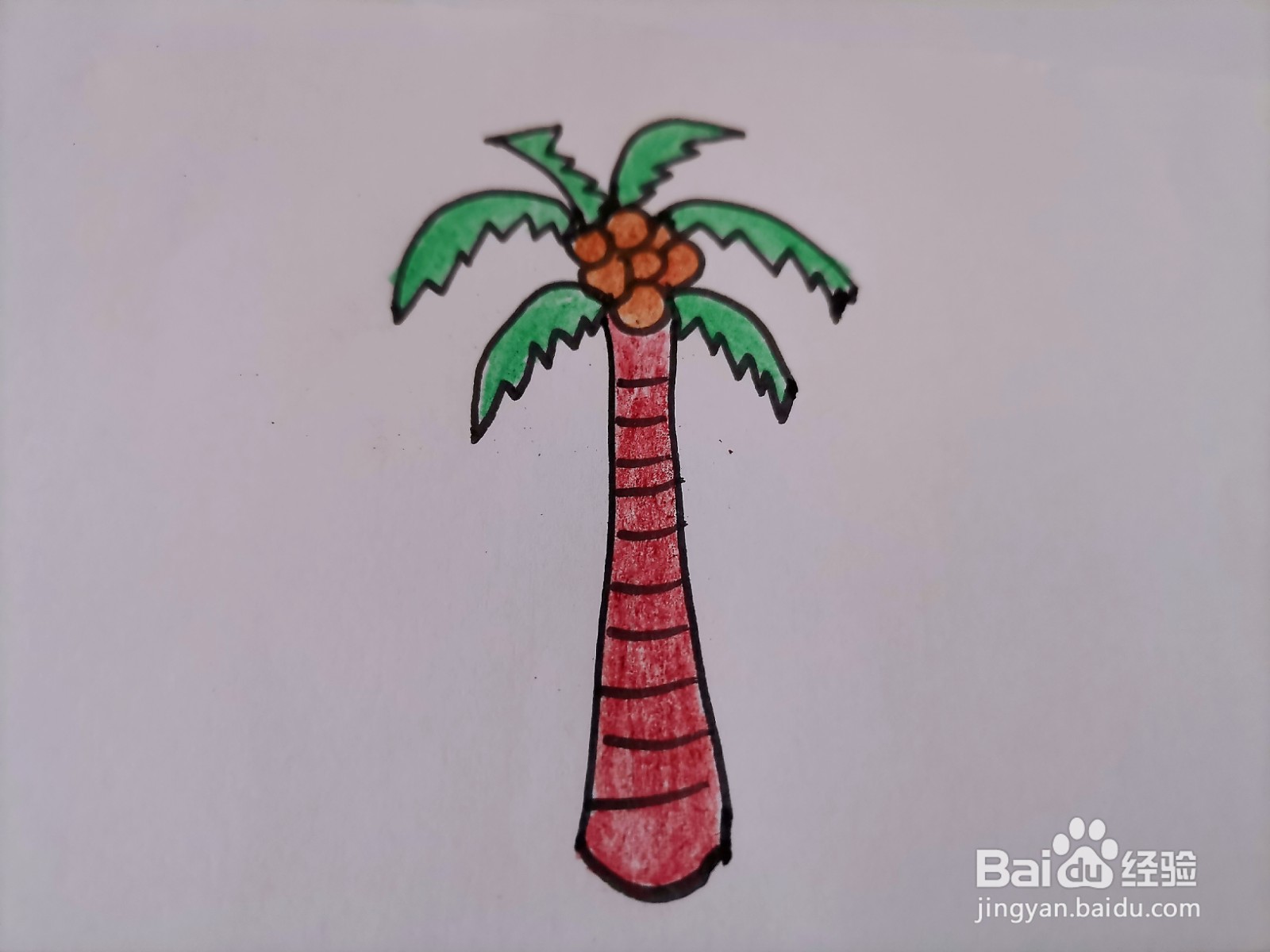 儿童简笔画 一棵椰树