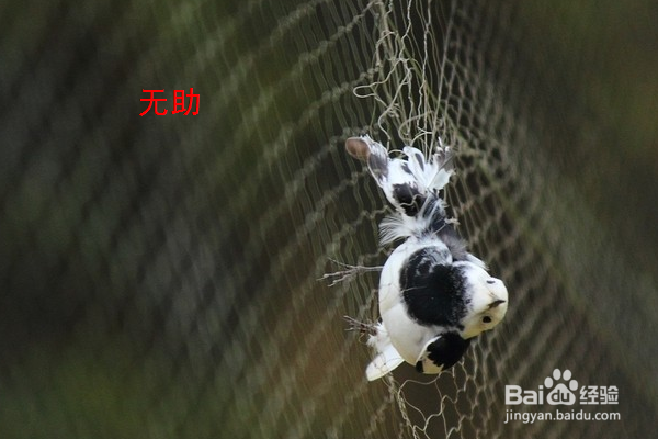 常见职业心理压力与应对方法