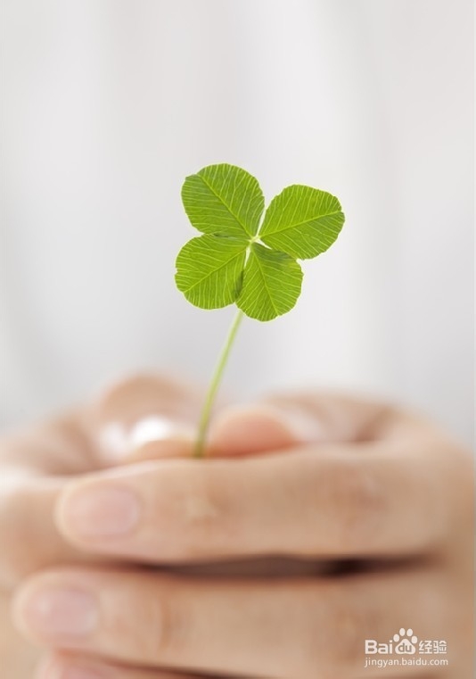 年轻人需做的10件事