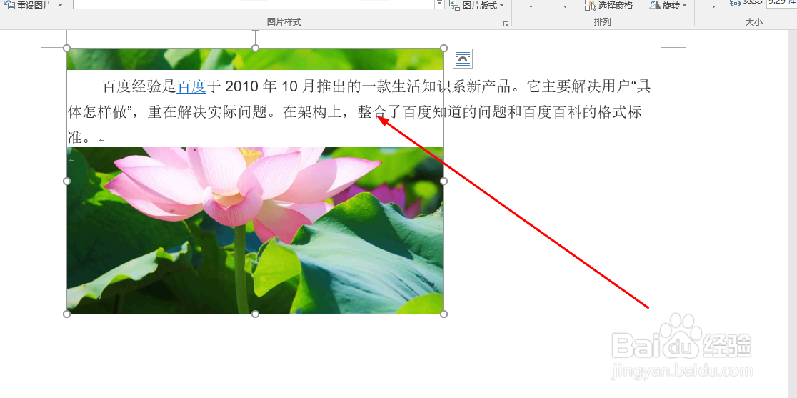 Word中如何设置图片排版样式